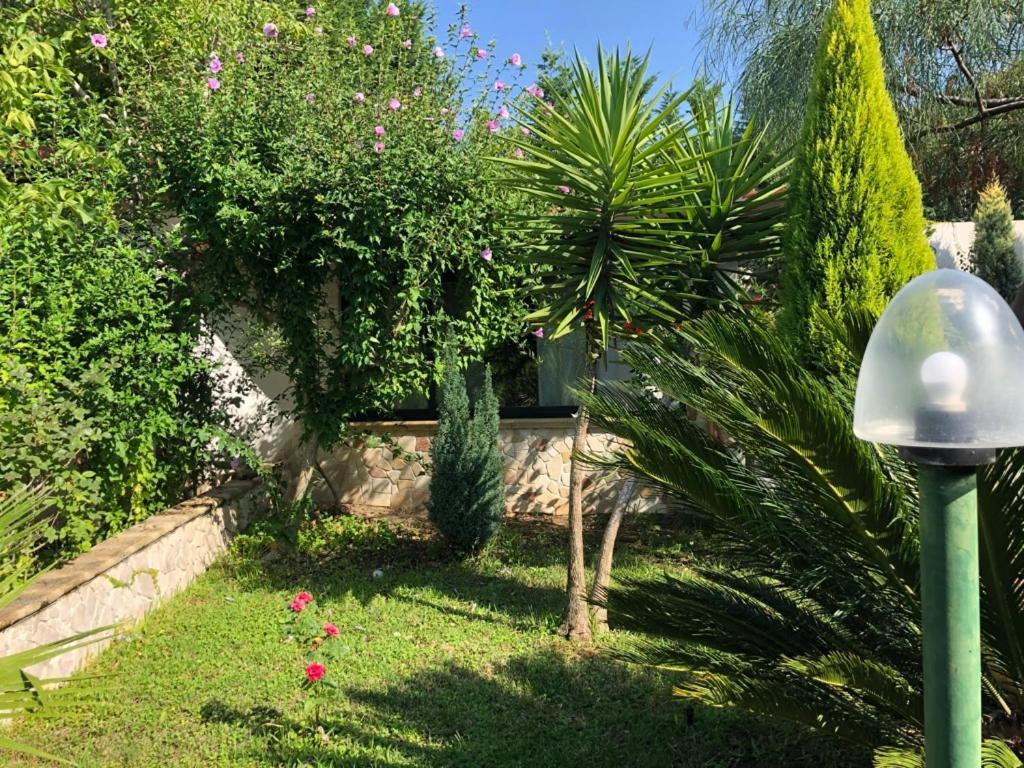 Villa Giulia Parghelia Luaran gambar